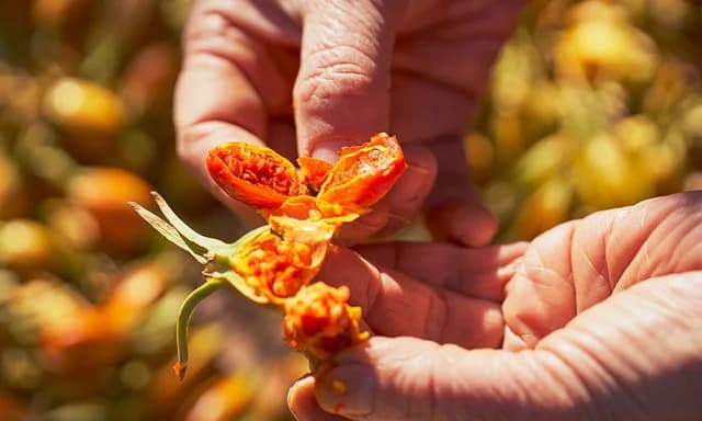 N LABO 研究開発の様子10