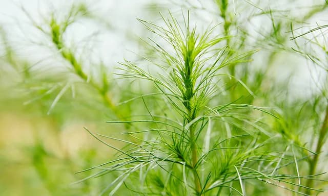 N LABO 研究開発の様子11