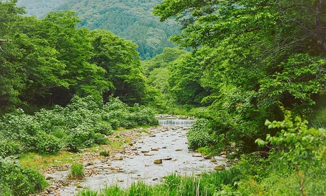 N LABO 研究開発の様子6