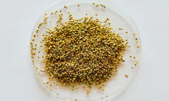 N LABO 研究開発の様子7