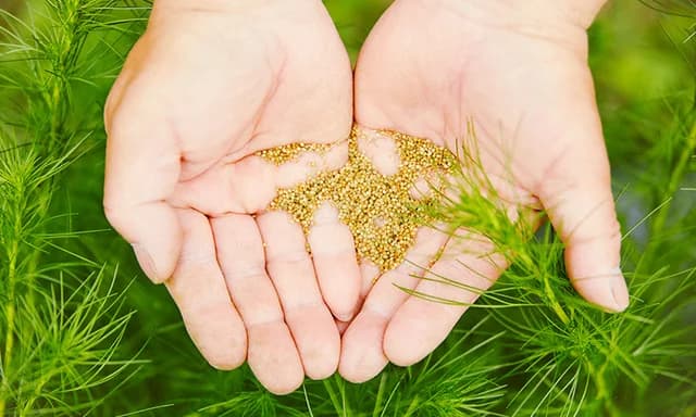 N LABO 研究開発の様子8