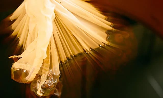 N LABO 研究開発の様子9