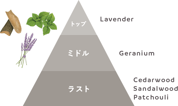 N organic FragranceのSleepy WoodのトップがLavender、ミドルがGeranium、ラストがCedarwood, Sandalwood, Patchouliであることを説明している図