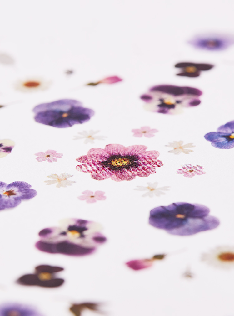 紫系の花弁が紫の背景に並んでる写真