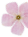 花弁