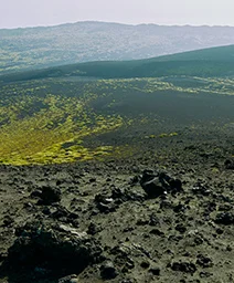 伊豆大島の風景