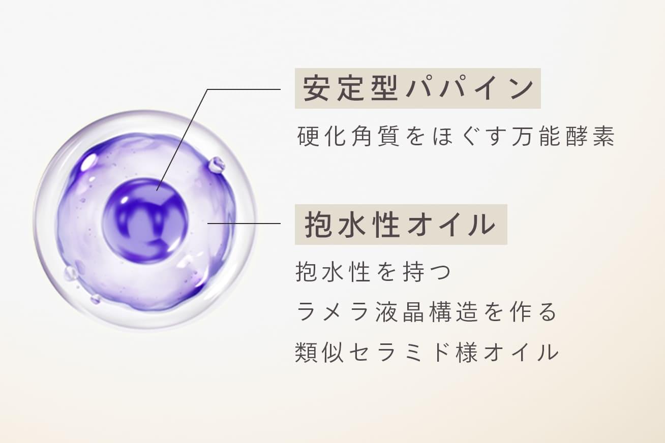 安定型パパイン:硬化角質をほぐす万能酵素 抱水性オイル:抱水性を持つラメラ液晶構造を作る類似セラミド様オイル