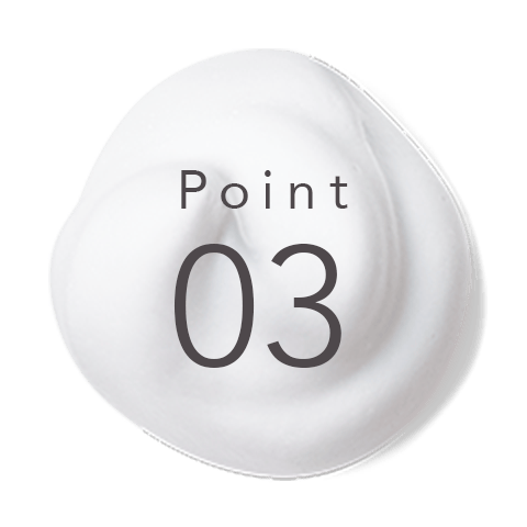 Point 03